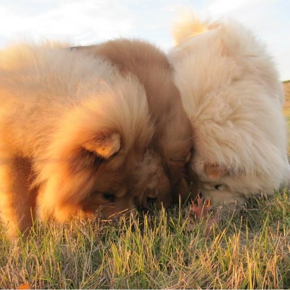 Meet your Posher, Emily - Picture 4 of 16